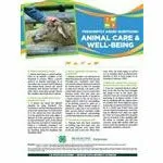 4-H Animal Care & Well-Being Poster - General Animal Well-Being