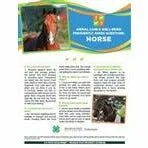 4-H Animal Care & Well-Being Poster - Horse