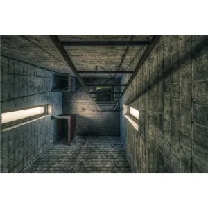 Clocktower Ladders | The Asylum