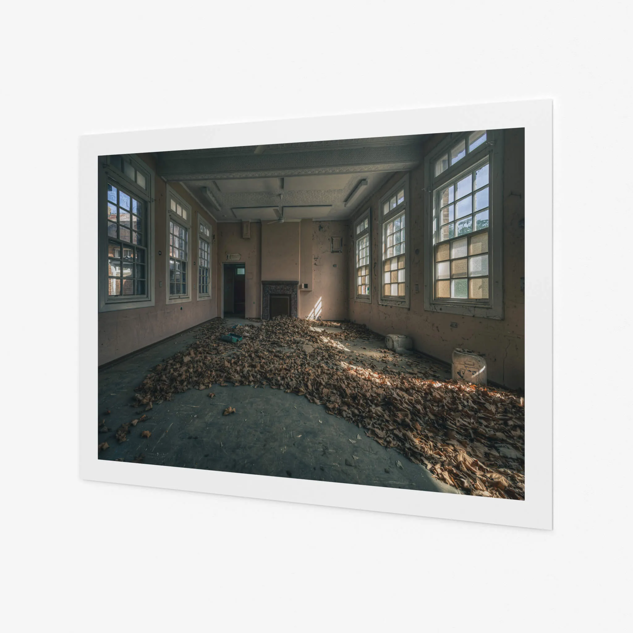 Dead Leaf Carpet | The Asylum