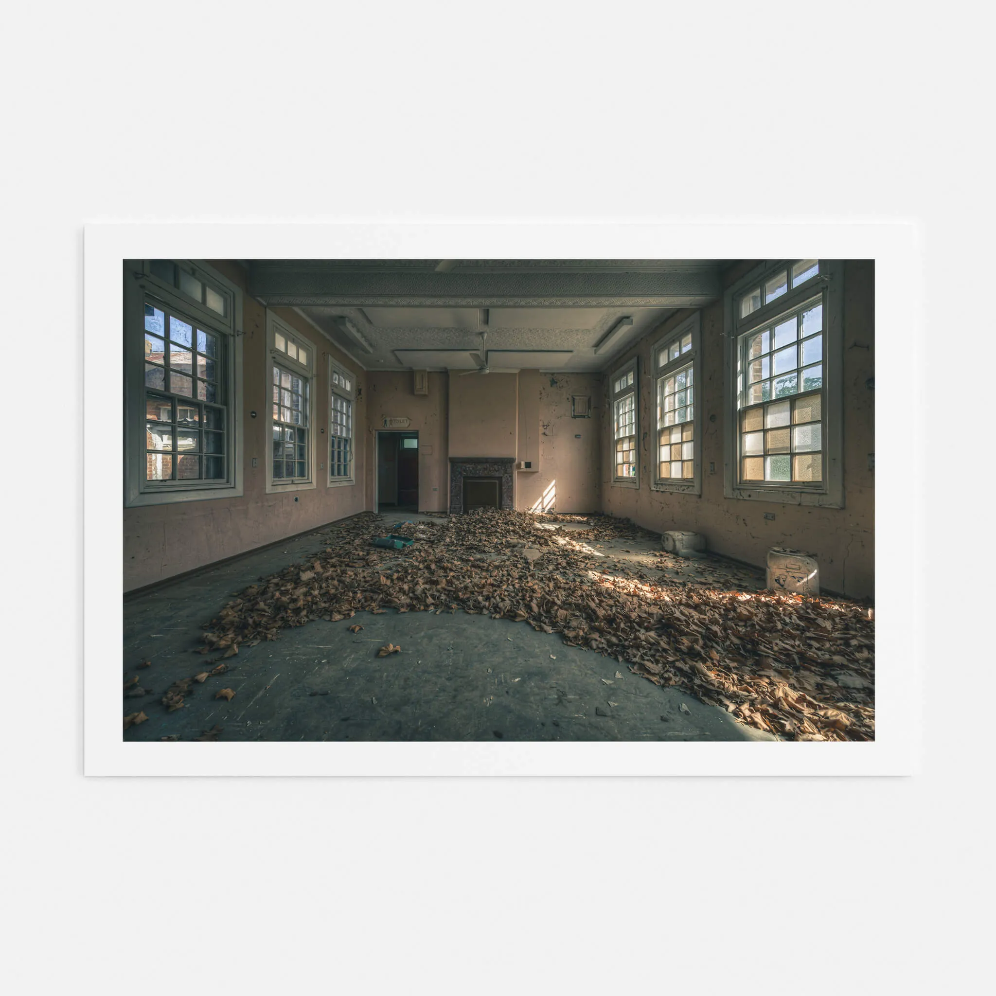 Dead Leaf Carpet | The Asylum
