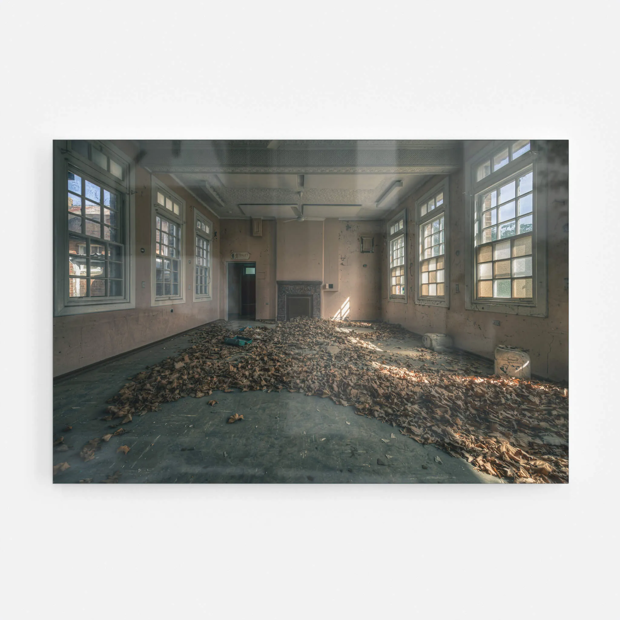Dead Leaf Carpet | The Asylum