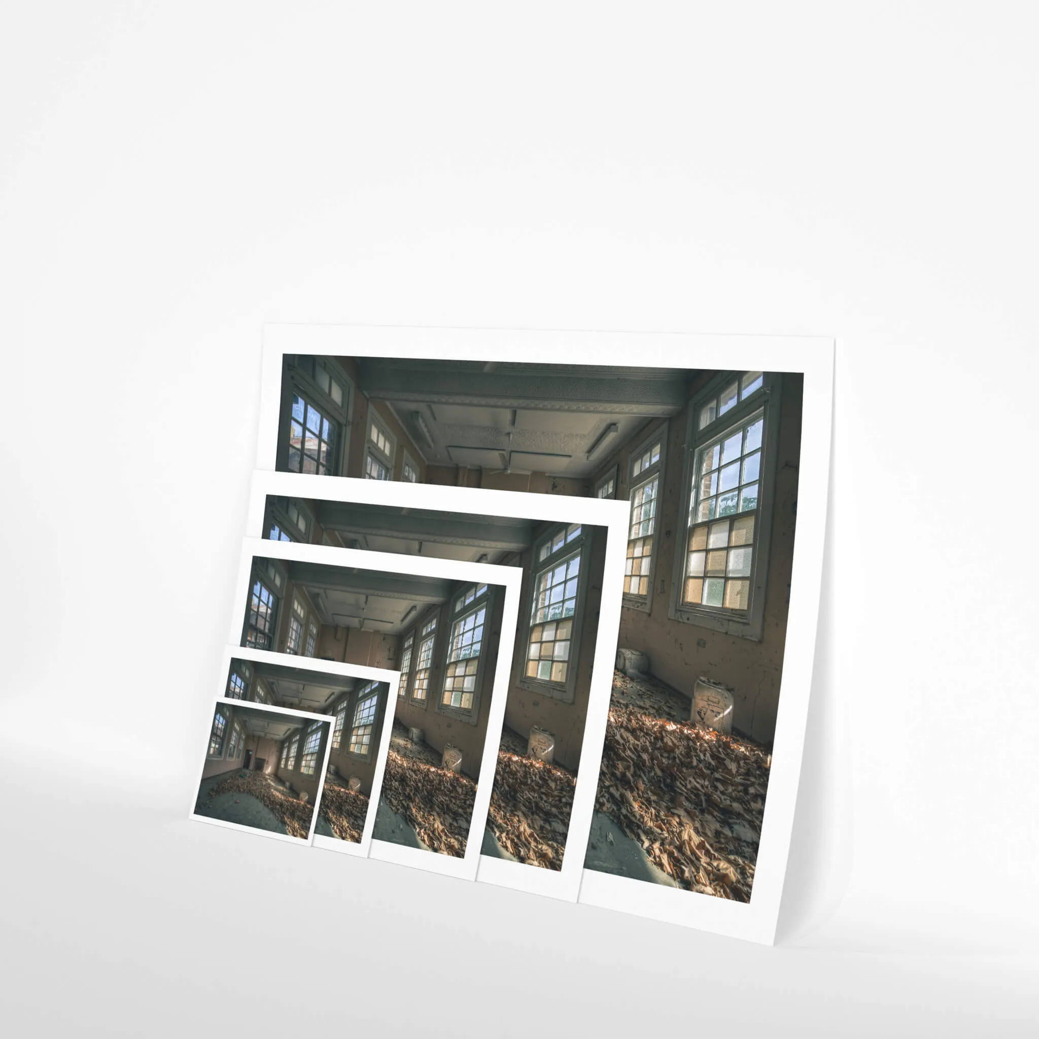 Dead Leaf Carpet | The Asylum