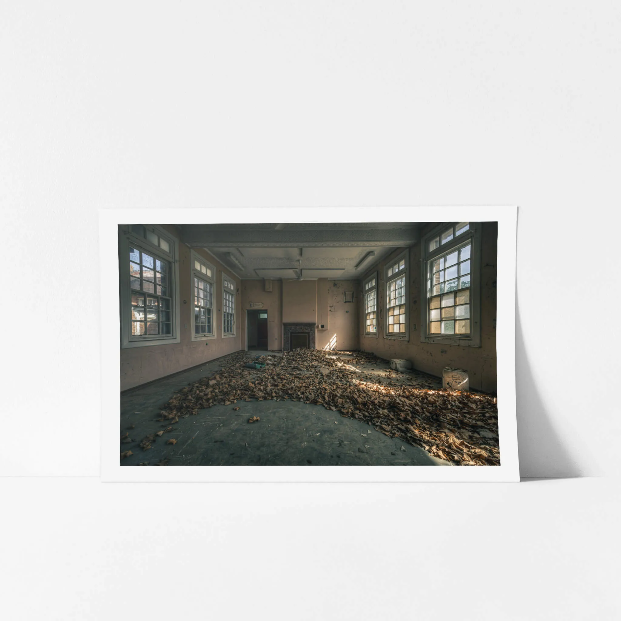 Dead Leaf Carpet | The Asylum