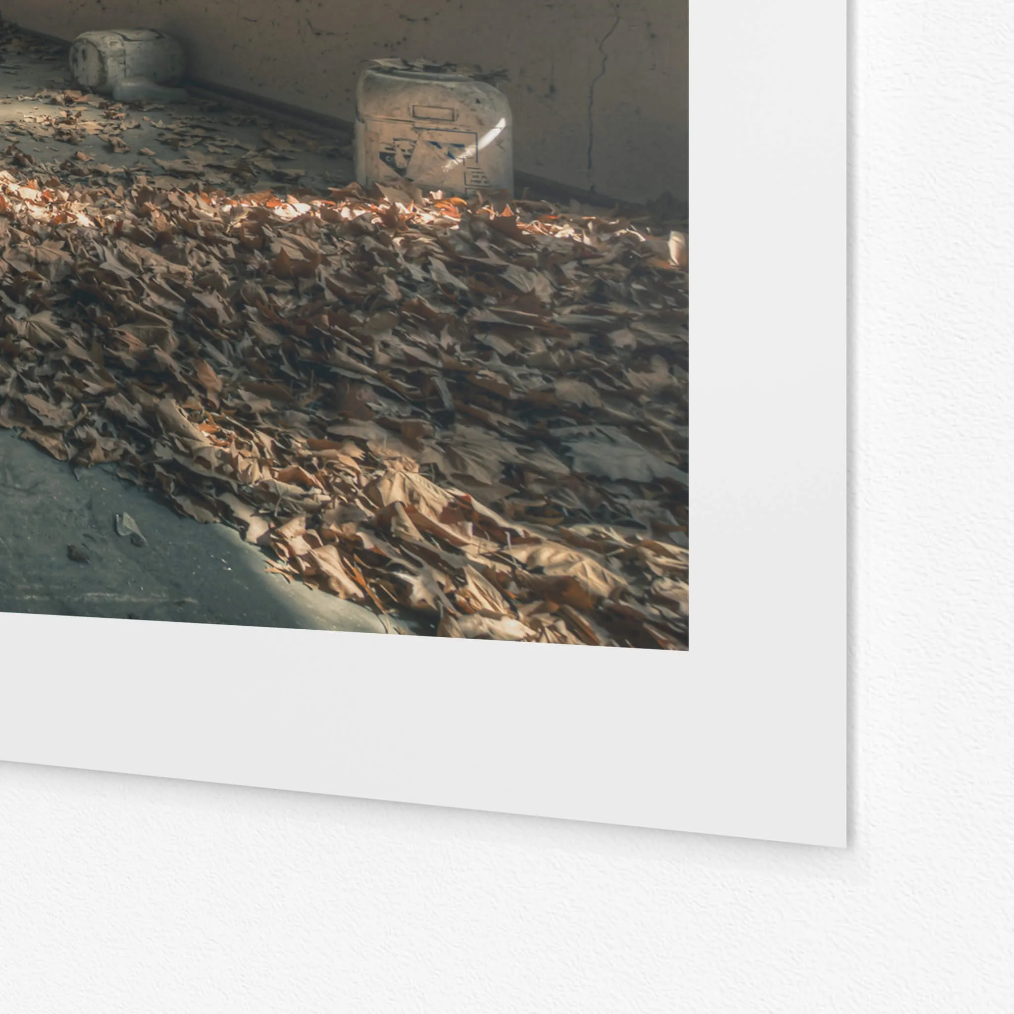 Dead Leaf Carpet | The Asylum