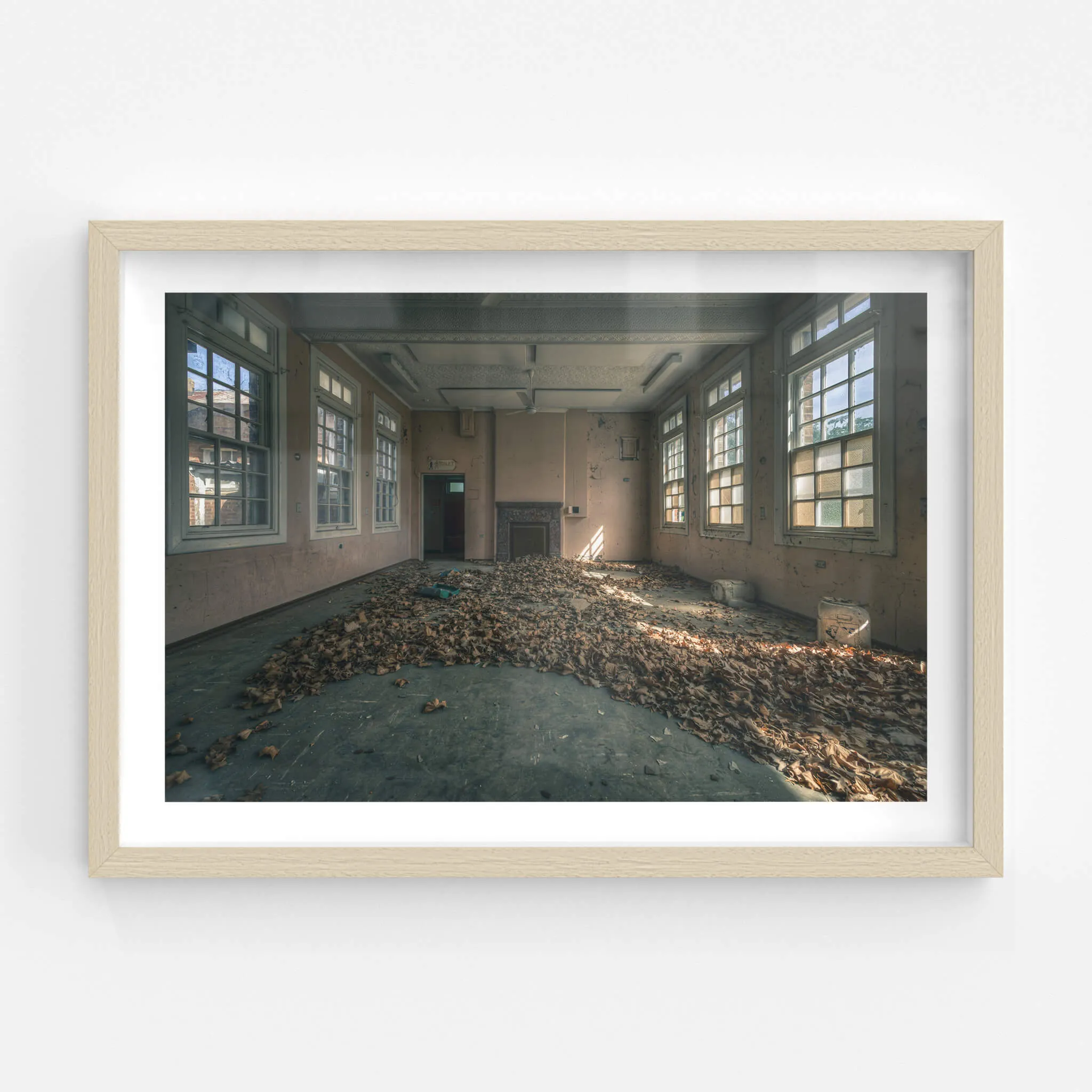 Dead Leaf Carpet | The Asylum