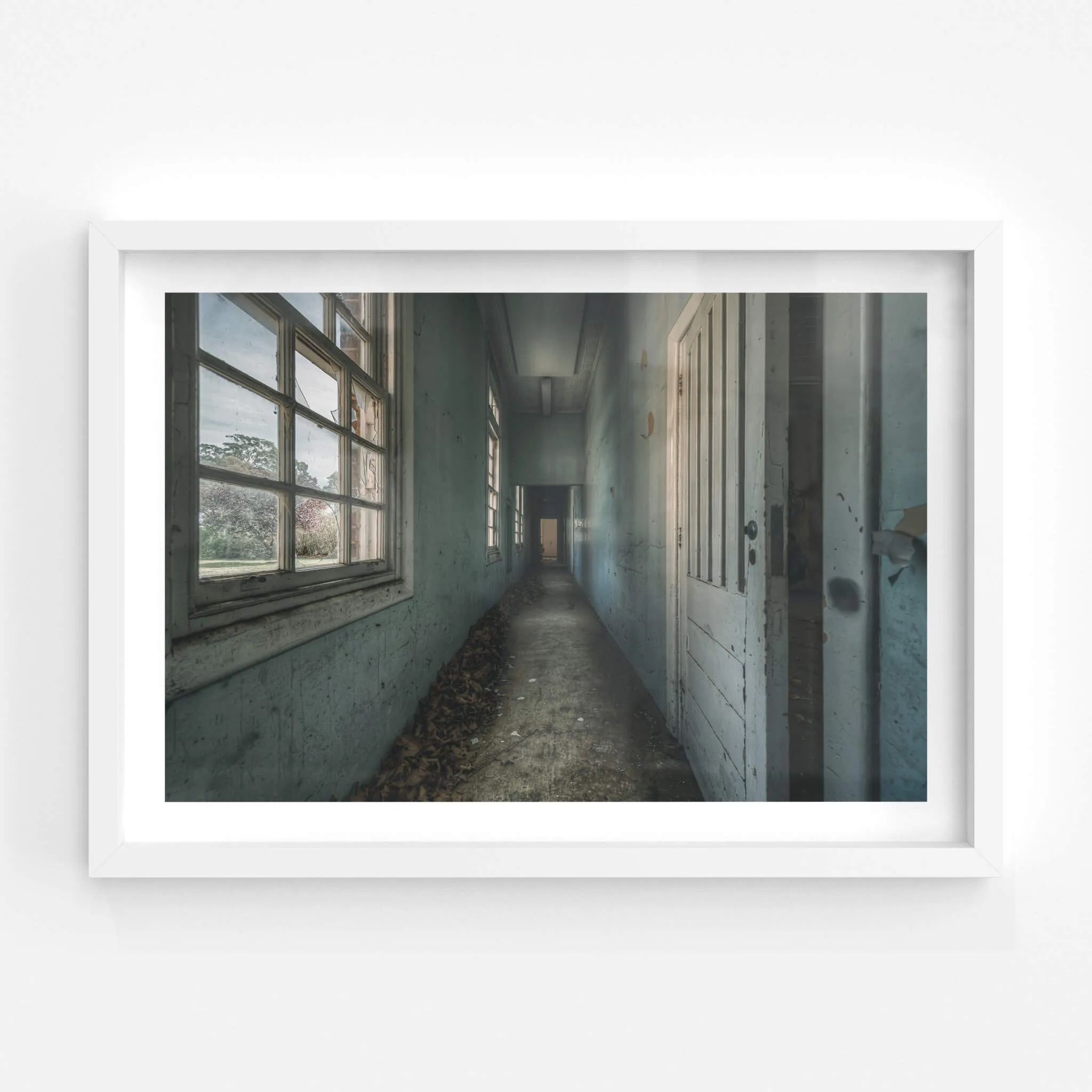 Long Leafy Corridor | The Asylum