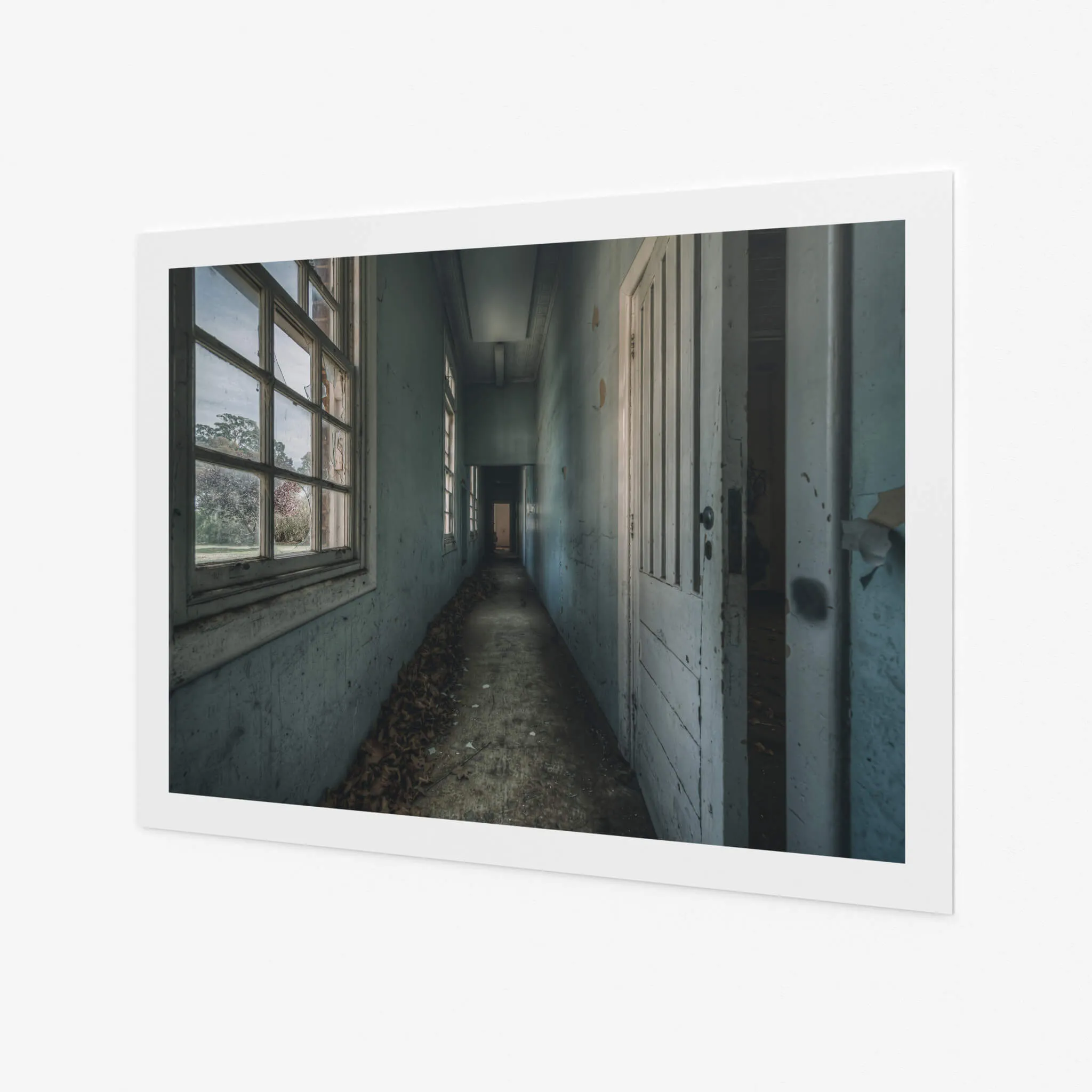Long Leafy Corridor | The Asylum