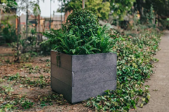 Modern Square Planter