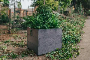 Modern Square Planter