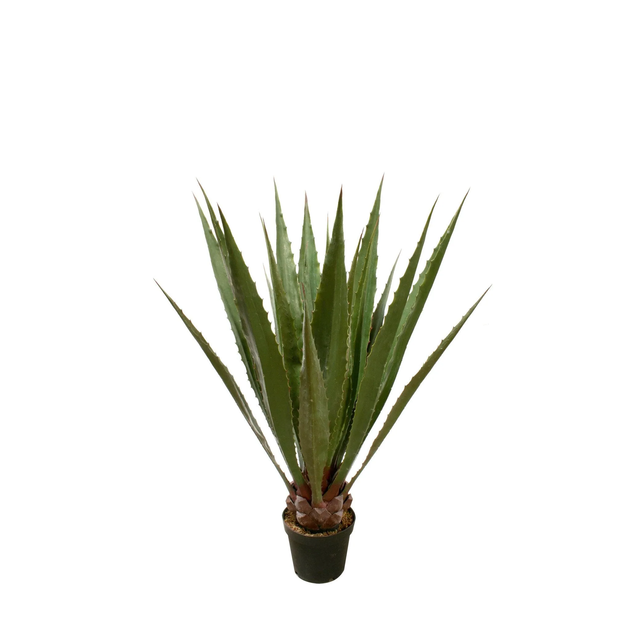 P3503 (OUTDOOR)