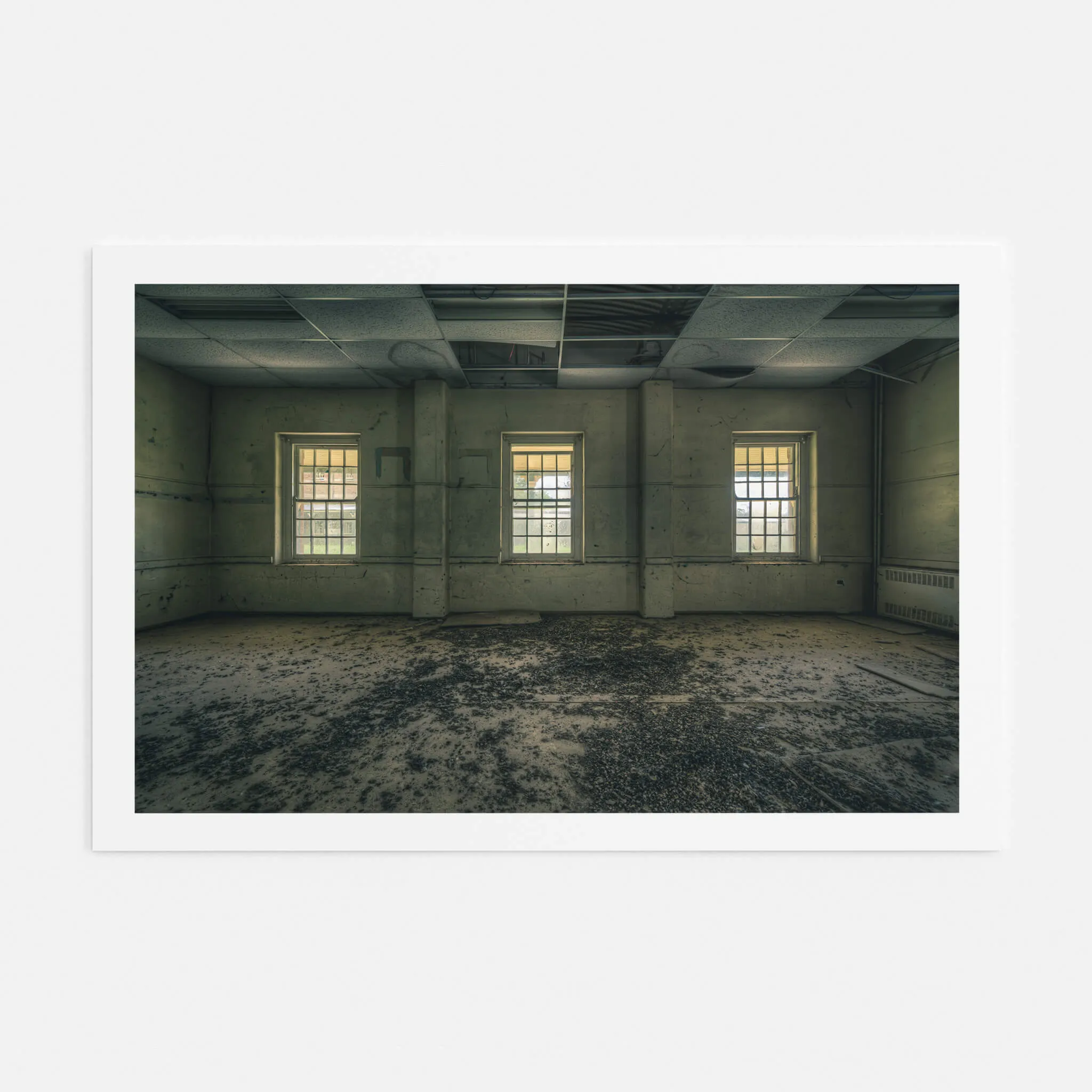 Trilogy | The Asylum